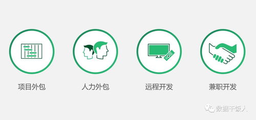 數(shù)字化轉(zhuǎn)型項目軟件外包開發(fā)痛點總結(jié)