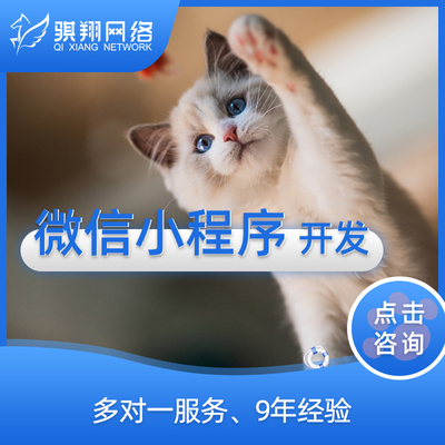 服務外包供應商-IT軟件,品牌設(shè)計,網(wǎng)站外包服務商平臺